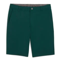 Puma Shorts Herr-Dealer 10 Green-Terrain