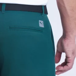Puma Shorts Herr-Dealer 10 Green-Terrain