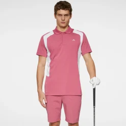 J.Lindeberg Pikétröjor Herr-Legacy Polo Rose-Wine
