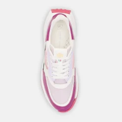 Duca del Cosma Damskor-Olivera Orchid Pink