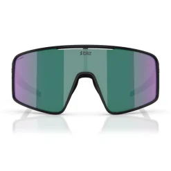 Bliz Solglasögon-P001 Matt Black