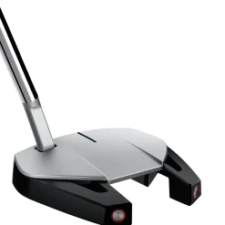 TaylorMade Malletputters-Spider GT Silver Small Slant